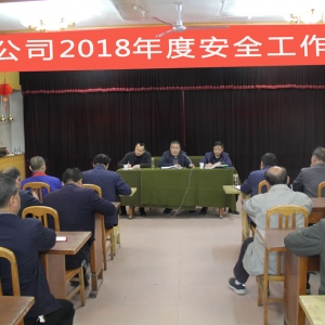 公司召開2018年度安全工作會議