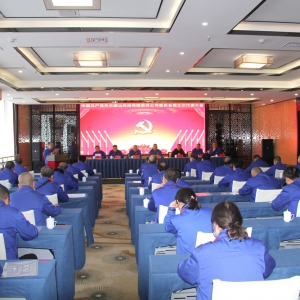 公司召開第三次黨員代表大會